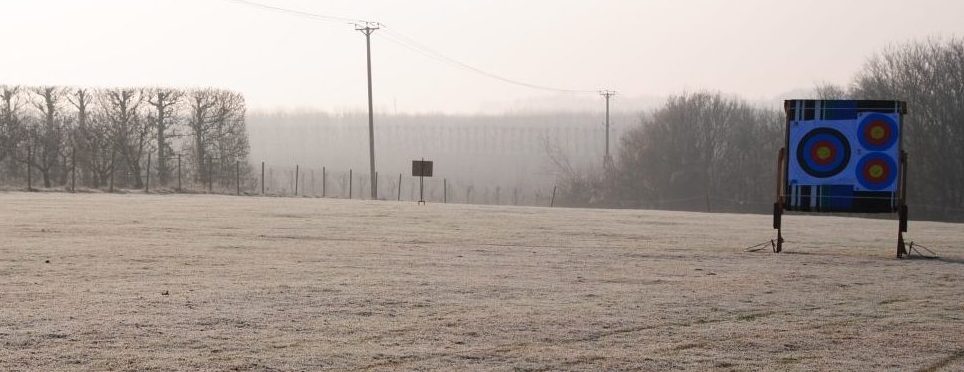 winter field